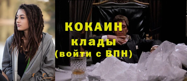 прущие грибы Аркадак