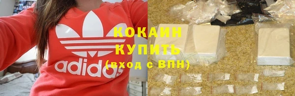 амф Арсеньев