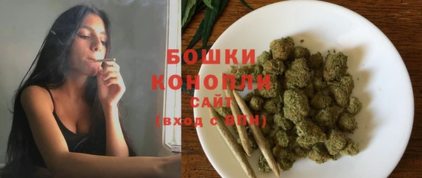 прущие грибы Аркадак