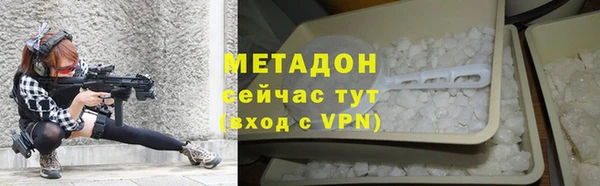 прущие грибы Аркадак