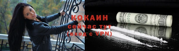 прущая мука Няндома