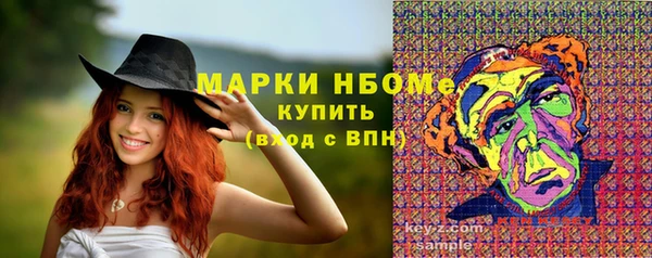 амф Арсеньев