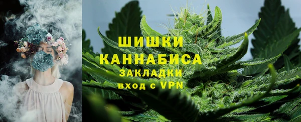 PSILOCYBIN Армянск