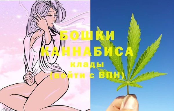 амф Арсеньев