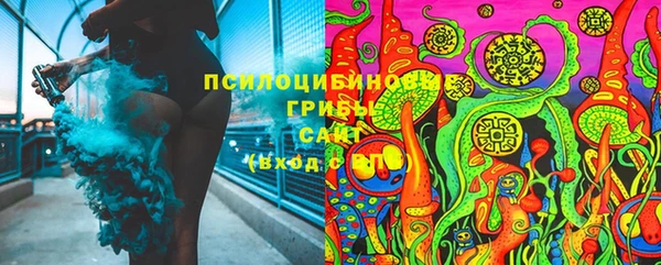 прущие грибы Аркадак